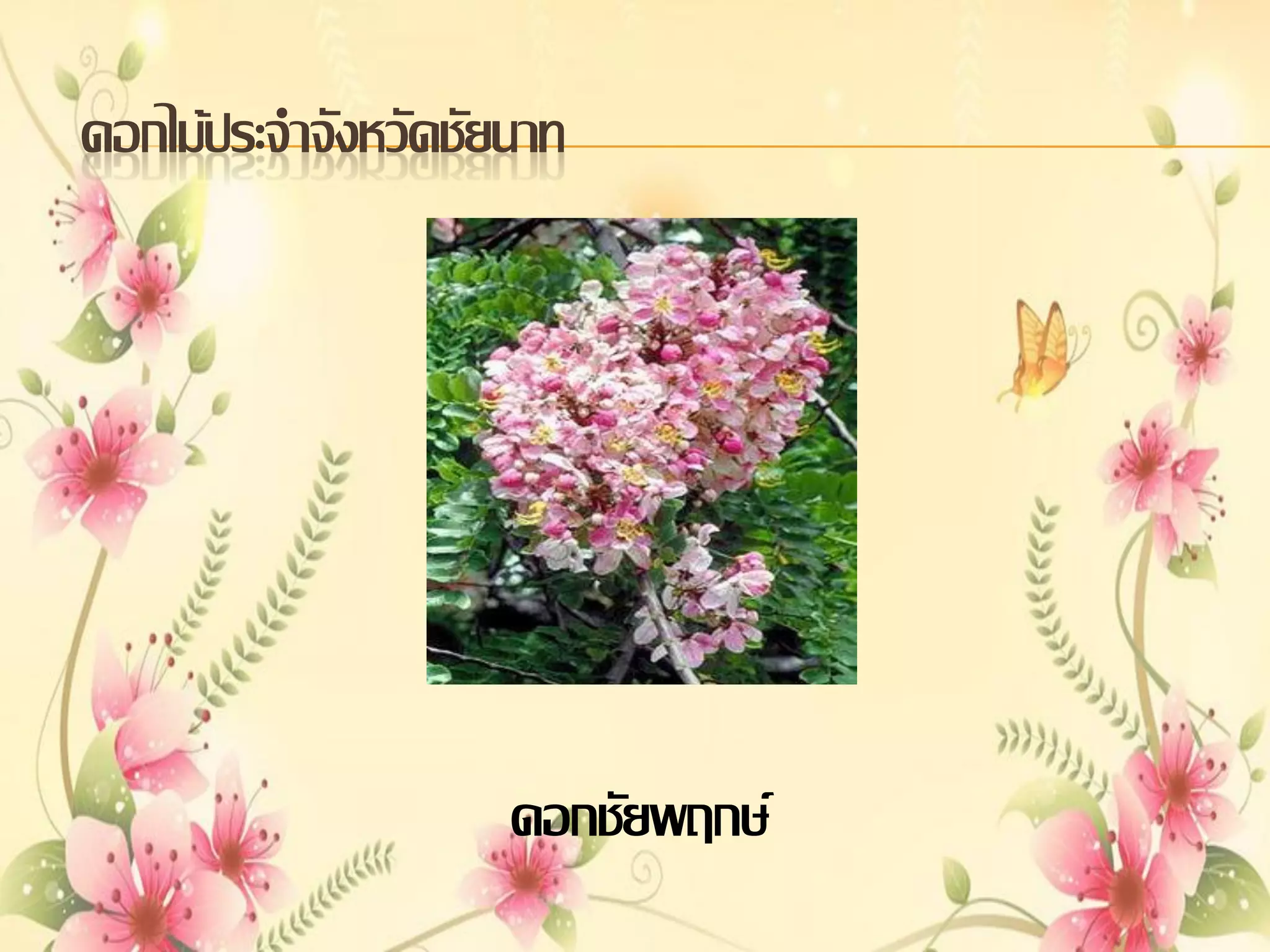 ดอกไม้ประจาจังหวัดชัยนาท

ดอกชัยพฤกษ์

 