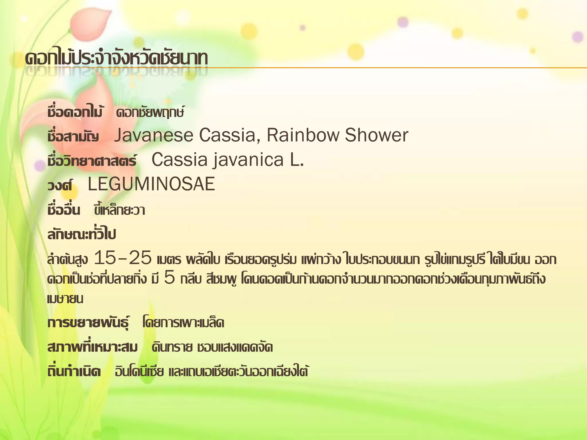 ดอกไม้ประจาจังหวัดชัยนาท
ชื่อดอกไม้ ดอกชัยพฤกษ์
ชื่อสามัญ Javanese Cassia, Rainbow Shower
ชื่อวิทยาศาสตร์ Cassia javanica L.
วงศ์ LEGUMINOSAE
ชื่ออื่น ขี้เหล็กยะวา
ลักษณะทั่วไป
ลาต้นสูง 15–25 เมตร ผลัดใบ เรือนยอดรูปร่ม แผ่กว้าง ใบประกอบขนนก รูปไข่แกมรูปรี ใต้ใบมีขน ออก
ดอกเป็นช่อที่ปลายกิ่ง มี 5 กลีบ สีชมพู โคนคอดเป็นก้านดอกจานวนมากออกดอกช่วงเดือนกุมภาพันธ์ถึง
เมษายน
การขยายพันธุ์ โดยการเพาะเมล็ด
สภาพที่เหมาะสม ดินทราย ชอบแสงแดดจัด
ถิ่นกาเนิด อินโดนีเซีย และแถบเอเชียตะวันออกเฉียงใต้

 