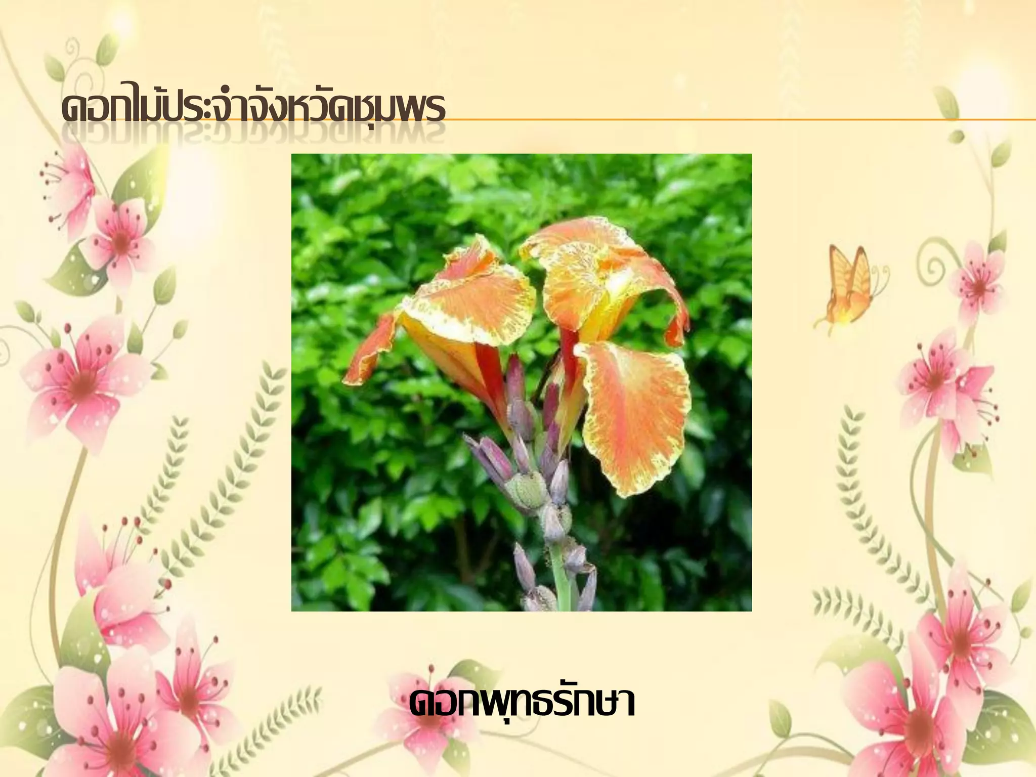 ดอกไม้ประจาจังหวัดชุมพร

ดอกพุทธรักษา

 