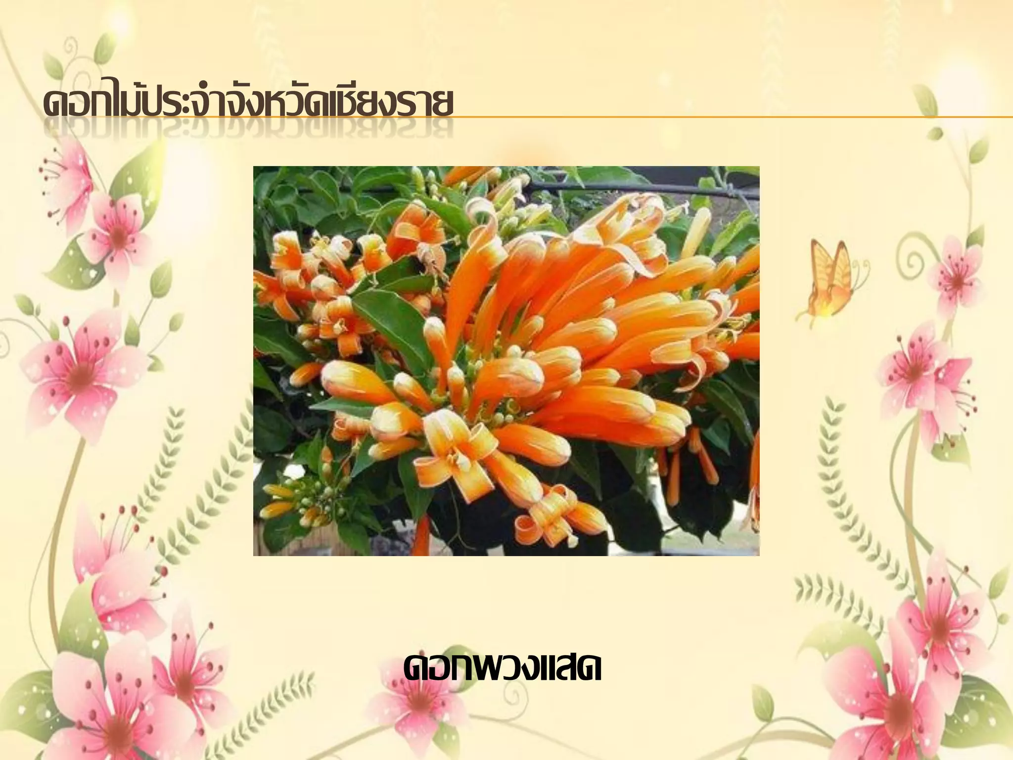 ดอกไม้ประจาจังหวัดเชียงราย

ดอกพวงแสด

 