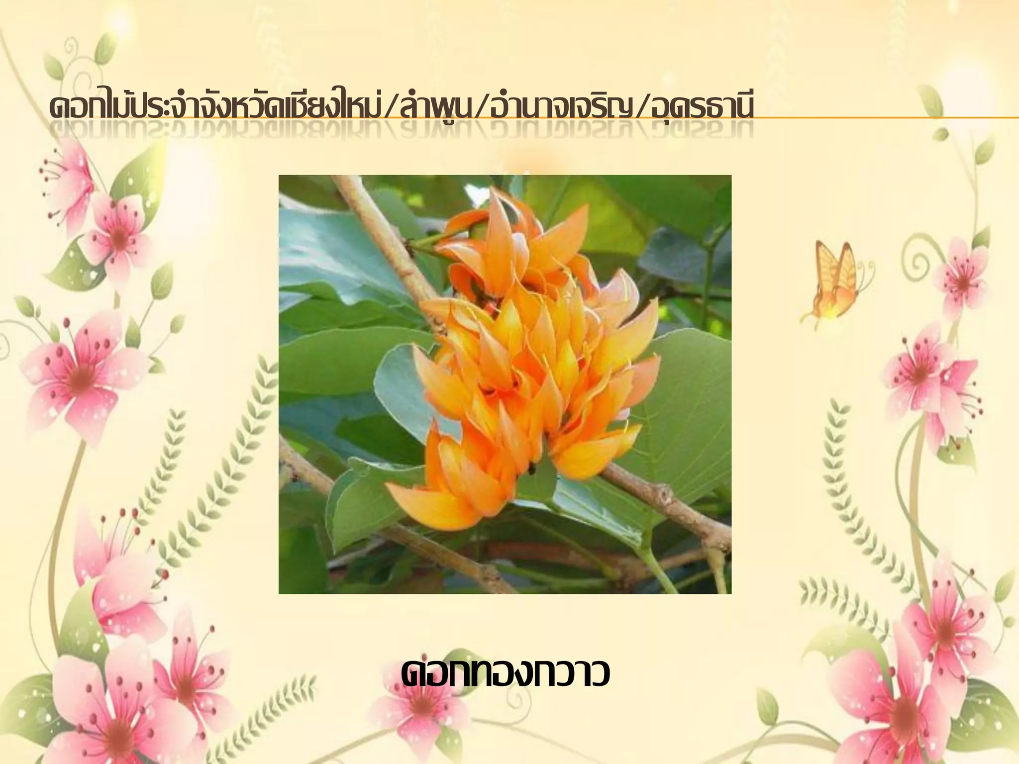 ดอกไม้ประจาจังหวัดเชียงใหม่/ลาพูน/อานาจเจริญ/อุดรธานี

ดอกทองกวาว

 