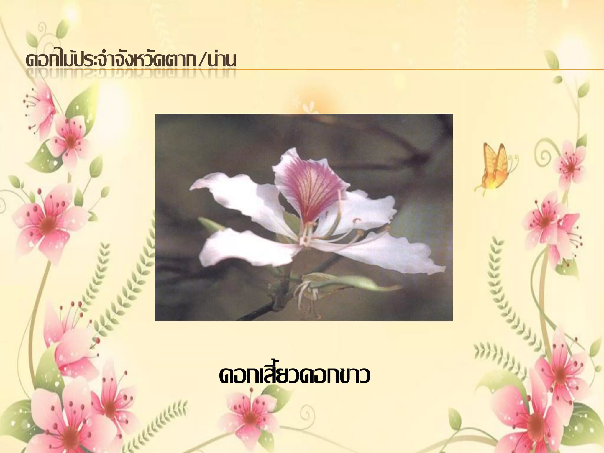 ดอกไม้ประจาจังหวัดตาก/น่าน

ดอกเสี้ยวดอกขาว

 