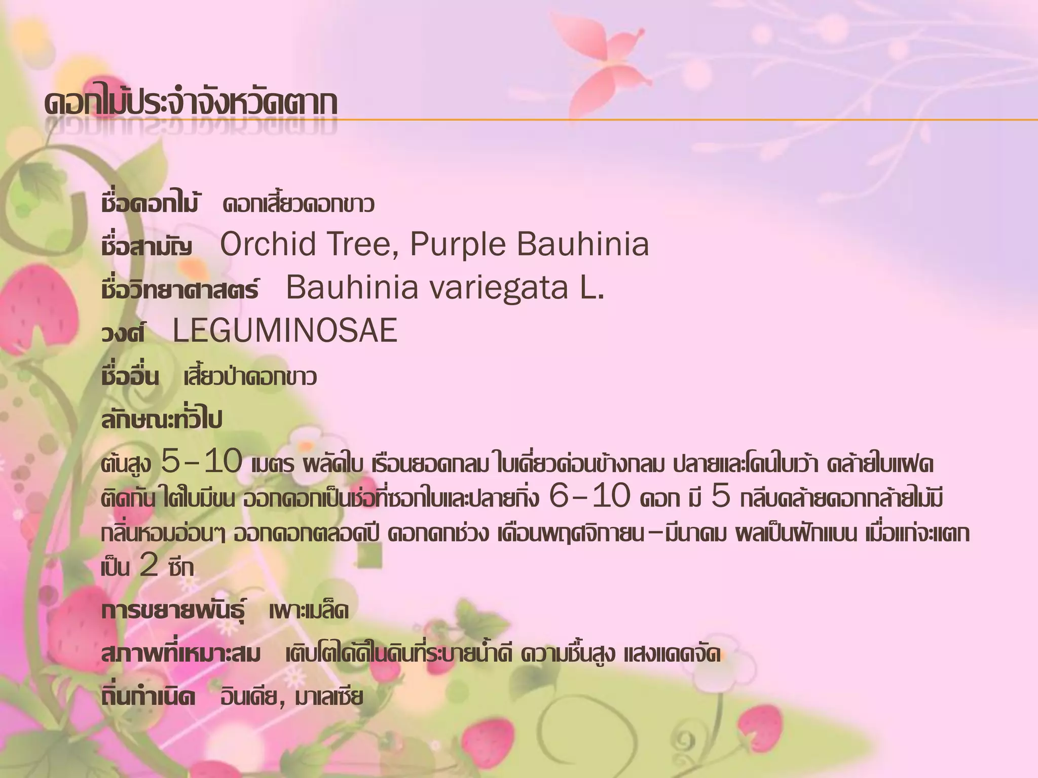 ดอกไม้ประจาจังหวัดตาก
ชื่อดอกไม้ ดอกเสี้ยวดอกขาว
ชื่อสามัญ Orchid Tree, Purple Bauhinia
ชื่อวิทยาศาสตร์ Bauhinia variegata L.
วงศ์ LEGUMINOSAE
ชื่ออื่น เสี้ยวป่าดอกขาว
ลักษณะทั่วไป
ต้นสูง 5–10 เมตร ผลัดใบ เรือนยอดกลม ใบเดี่ยวค่อนข้างกลม ปลายและโคนใบเว้า คล้ายใบแฝด
ติดกัน ใต้ใบมีขน ออกดอกเป็นช่อที่ซอกใบและปลายกิ่ง 6–10 ดอก มี 5 กลีบคล้ายดอกกล้ายไม้มี
กลิ่นหอมอ่อนๆ ออกดอกตลอดปี ดอกดกช่วง เดือนพฤศจิกายน–มีนาคม ผลเป็นฝักแบน เมื่อแก่จะแตก
เป็น 2 ซีก
การขยายพันธุ์ เพาะเมล็ด
สภาพทีเ่ หมาะสม เติบโตได้ดีในดินที่ระบายน้าดี ความชื้นสูง แสงแดดจัด
ถิ่นกาเนิด อินเดีย, มาเลเซีย

 