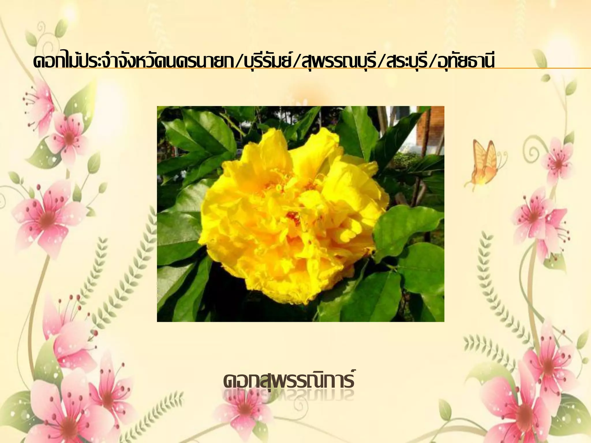 ดอกไม้ประจาจังหวัดนครนายก/บุรีรัมย์/สุพรรณบุร/สระบุรี/อุทัยธานี
ี

ดอกสุพรรณิการ์

 