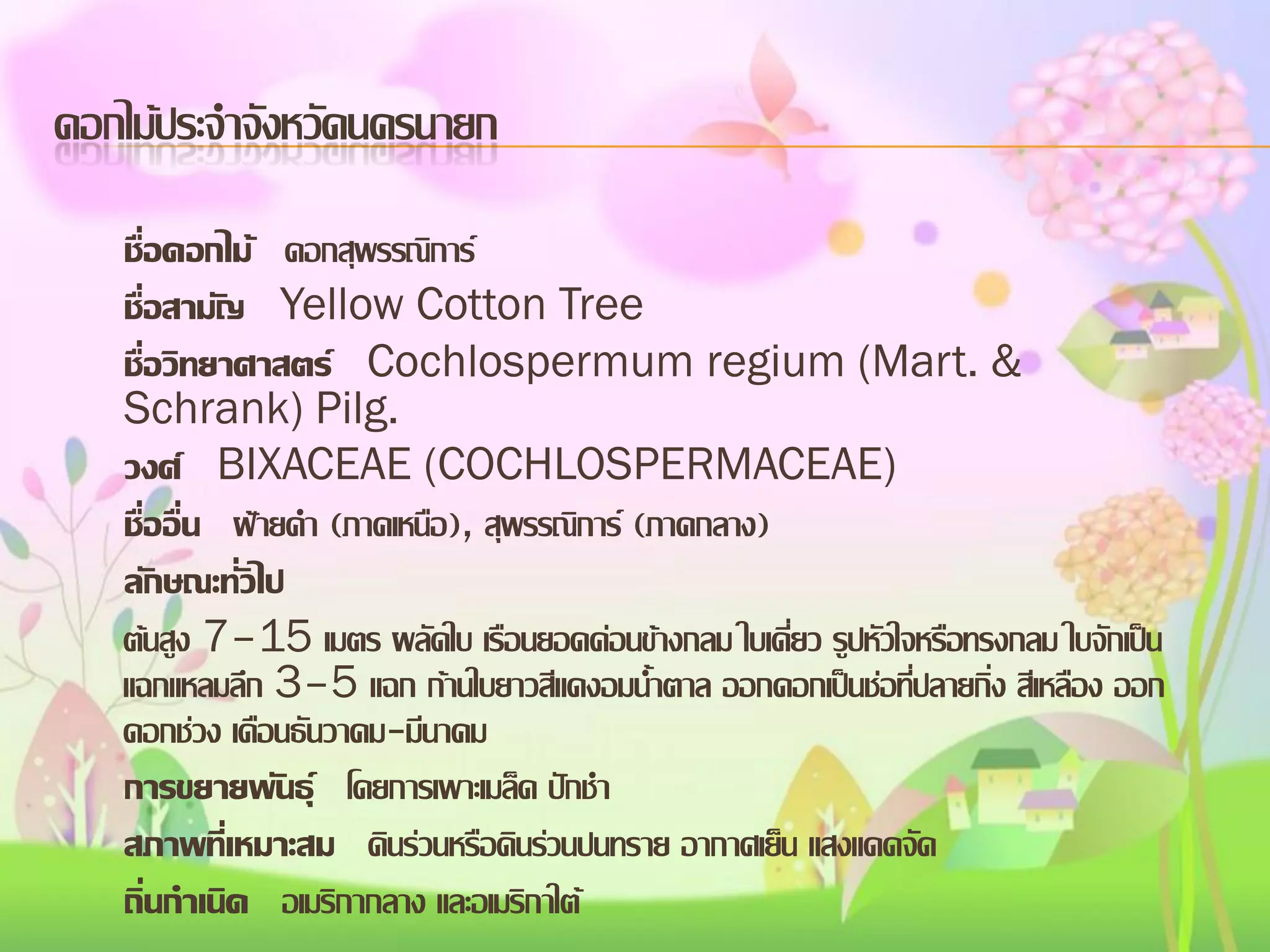 ดอกไม้ประจาจังหวัดนครนายก
ชื่อดอกไม้ ดอกสุพรรณิการ์
ชื่อสามัญ Yellow Cotton Tree
ชื่อวิทยาศาสตร์ Cochlospermum regium (Mart. &
Schrank) Pilg.
วงศ์ BIXACEAE (COCHLOSPERMACEAE)
ชื่ออื่น ฝ้ายคา (ภาคเหนือ), สุพรรณิการ์ (ภาคกลาง)
ลักษณะทั่วไป
ต้นสูง 7–15 เมตร ผลัดใบ เรือนยอดค่อนข้างกลม ใบเดี่ยว รูปหัวใจหรือทรงกลม ใบจักเป็น
แฉกแหลมลึก 3–5 แฉก ก้านใบยาวสีแดงอมน้าตาล ออกดอกเป็นช่อที่ปลายกิ่ง สีเหลือง ออก
ดอกช่วง เดือนธันวาคม-มีนาคม
การขยายพันธุ์ โดยการเพาะเมล็ด ปักชา
สภาพที่เหมาะสม ดินร่วนหรือดินร่วนปนทราย อากาศเย็น แสงแดดจัด
ถิ่นกาเนิด อเมริกากลาง และอเมริกาใต้

 