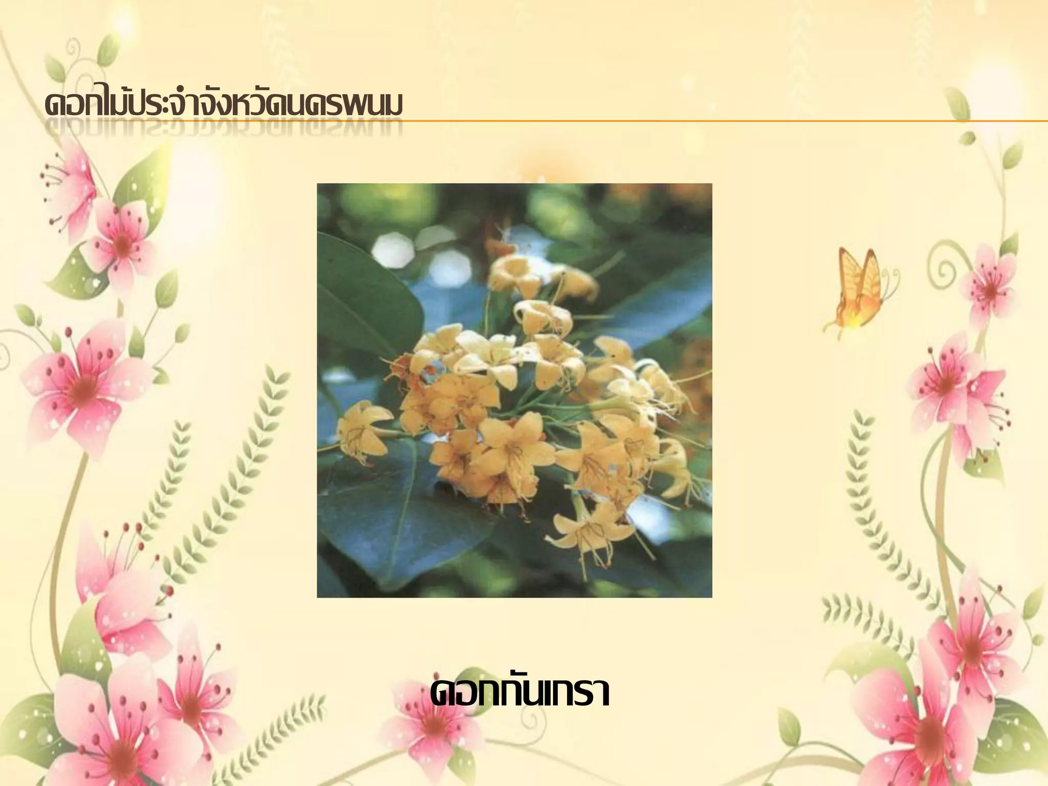 ดอกไม้ประจาจังหวัดนครพนม

ดอกกันเกรา

 