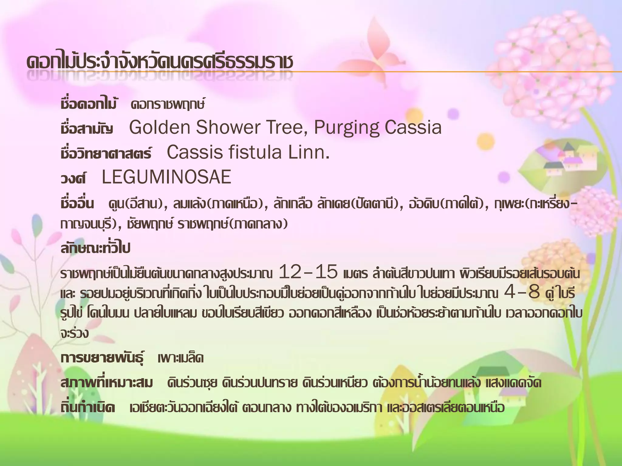 ดอกไม้ประจาจังหวัดนครศรีธรรมราช
ชื่อดอกไม้ ดอกราชพฤกษ์
ชื่อสามัญ Golden Shower Tree, Purging Cassia
ชื่อวิทยาศาสตร์ Cassis fistula Linn.
วงศ์ LEGUMINOSAE
ชื่ออื่น คูน(อีสาน), ลมแล้ง(ภาคเหนือ), ลักเกลือ ลักเคย(ปัตตานี), อ้อดิบ(ภาคใต้), กุเพยะ(กะเหรี่ยงกาญจนบุร), ชัยพฤกษ์ ราชพฤกษ์(ภาคกลาง)
ี
ลักษณะทั่วไป
ราชพฤกษ์เป็นไม้ยืนต้นขนาดกลางสูงประมาณ 12–15 เมตร ลาต้นสีขาวปนเทา ผิวเรียบมีรอยเส้นรอบต้น
และ รอยปมอยู่บริเวณที่เกิดกิ่ง ใบเป็นใบประกอบมีใบย่อยเป็นคู่ออกจากก้านใบ ใบย่อยมีประมาณ 4–8 คู่ ใบรี
รูปไข่ โคนใบมน ปลายใบแหลม ขอบใบเรียบสีเขียว ออกดอกสีเหลือง เป็นช่อห้อยระย้าตามก้านใบ เวลาออกดอกใบ
จะร่วง
การขยายพันธุ์ เพาะเมล็ด
สภาพที่เหมาะสม ดินร่วนซุย ดินร่วนปนทราย ดินร่วนเหนียว ต้องการน้าน้อยทนแล้ง แสงแดดจัด
ถิ่นกาเนิด เอเชียตะวันออกเฉียงใต้ ตอนกลาง ทางใต้ของอเมริกา และออสเตรเลียตอนเหนือ

 