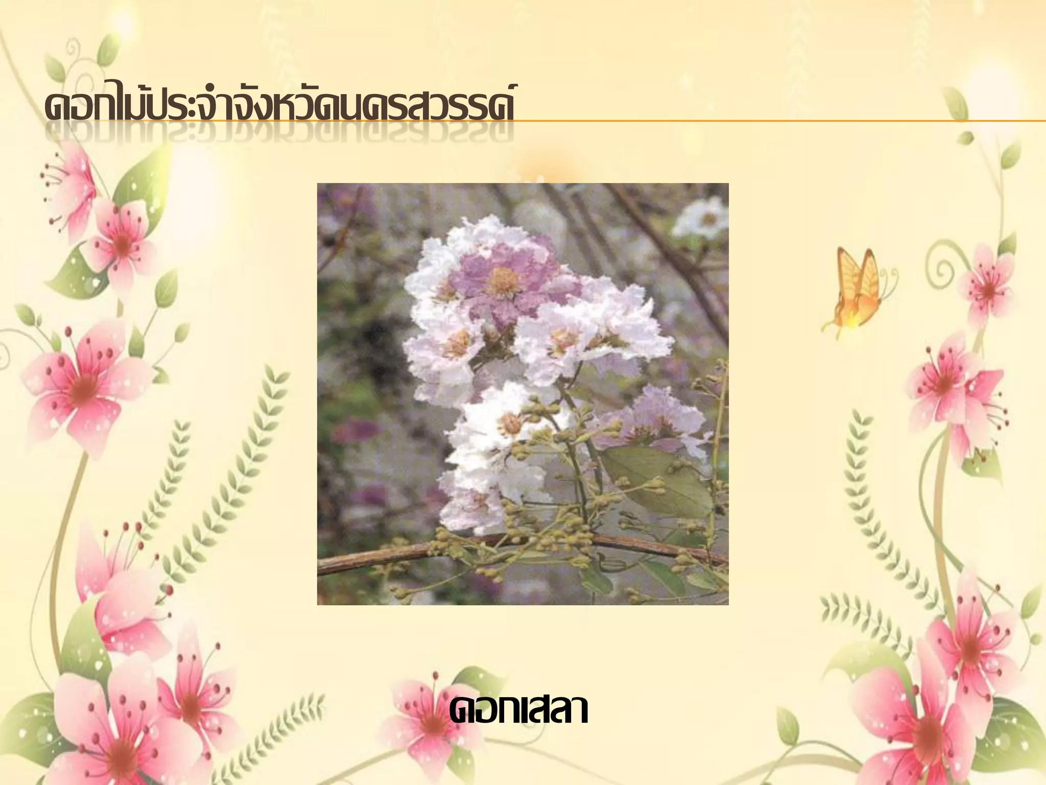 ดอกไม้ประจาจังหวัดนครสวรรค์

ดอกเสลา

 