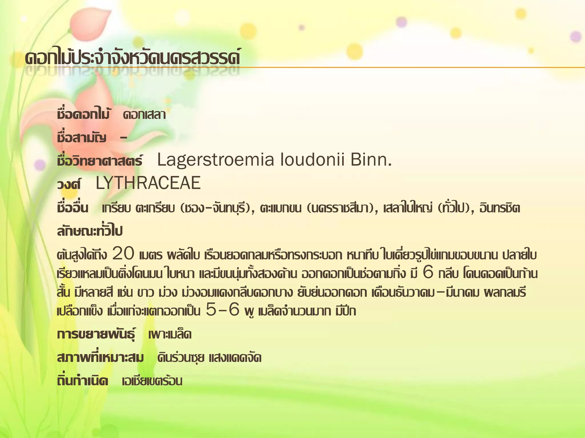 ดอกไม้ประจาจังหวัดนครสวรรค์
ชื่อดอกไม้ ดอกเสลา
ชื่อสามัญ ชื่อวิทยาศาสตร์ Lagerstroemia loudonii Binn.
วงศ์ LYTHRACEAE
ชื่ออื่น เกรียบ ตะเกรียบ (ชอง-จันทบุร), ตะแบกขน (นครราชสีมา), เสลาใบใหญ่ (ทั่วไป), อินทรชิต
ี
ลักษณะทั่วไป
ต้นสูงได้ถึง 20 เมตร ผลัดใบ เรือนยอดกลมหรือทรงกระบอก หนาทึบ ใบเดี่ยวรูปไข่แกมขอบขนาน ปลายใบ
เรียวแหลมเป็นติ่งโคนมน ใบหนา และมีขนนุ่มทังสองด้าน ออกดอกเป็นช่อตามกิ่ง มี 6 กลีบ โคนคอดเป็นก้าน
้
สั้น มีหลายสี เช่น ขาว ม่วง ม่วงอมแดงกลีบดอกบาง ยับย่นออกดอก เดือนธันวาคม–มีนาคม ผลกลมรี
เปลือกแข็ง เมื่อแก่จะแตกออกเป็น 5–6 พู เมล็ดจานวนมาก มีปีก
การขยายพันธุ์ เพาะเมล็ด
สภาพที่เหมาะสม ดินร่วนซุย แสงแดดจัด
ถิ่นกาเนิด เอเชียเขตร้อน

 