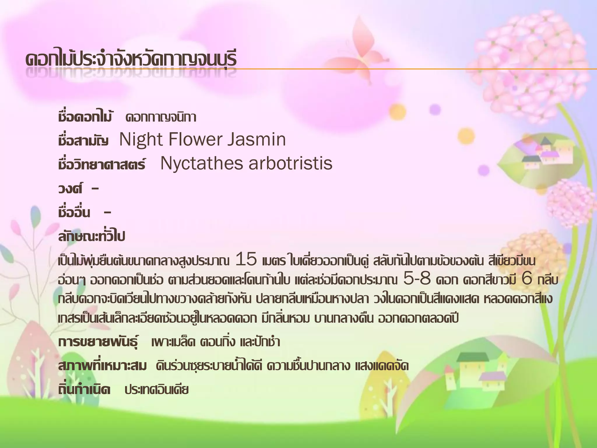 ดอกไม้ประจาจังหวัดกาญจนบุรี
ชื่อดอกไม้ ดอกกาญจนิกา
ชื่อสามัญ Night Flower Jasmin
ชื่อวิทยาศาสตร์ Nyctathes arbotristis
วงศ์ ชื่ออื่น ลักษณะทั่วไป
เป็นไม้พุ่มยืนต้นขนาดกลางสูงประมาณ 15 เมตร ใบเดี่ยวออกเป็นคู่ สลับกันไปตามข้อของต้น สีเขียวมีขน
อ่อนๆ ออกดอกเป็นช่อ ตามส่วนยอดและโคนก้านใบ แต่ละช่อมีดอกประมาณ 5-8 ดอก ดอกสีขาวมี 6 กลีบ
กลีบดอกจะบิดเวียนไปทางขวางคล้ายกังหัน ปลายกลีบเหมือนหางปลา วงในดอกเป็นสีแดงแสด หลอดดอกสีแง
เกสรเป็นเส้นเล็กละเอียดซ้อนอยู่ในหลอดดอก มีกลิ่นหอม บานกลางคืน ออกดอกตลอดปี
การขยายพันธุ์ เพาะเมล็ด ตอนกิ่ง และปักชา
สภาพที่เหมาะสม ดินร่วนซุยระบายน้าได้ดี ความชื้นปานกลาง แสงแดดจัด
ถิ่นกาเนิด ประเทศอินเดีย

 