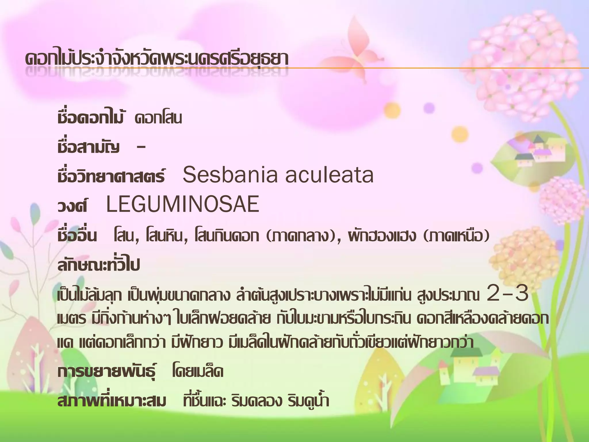 ดอกไม้ประจาจังหวัดพระนครศรีอยุธยา
ชื่อดอกไม้ ดอกโสน
ชื่อสามัญ ชื่อวิทยาศาสตร์ Sesbania aculeata
วงศ์ LEGUMINOSAE
ชื่ออื่น โสน, โสนหิน, โสนกินดอก (ภาคกลาง), ผักฮองแฮง (ภาคเหนือ)
ลักษณะทั่วไป
เป็นไม้ล้มลุก เป็นพุ่มขนาดกลาง ลาต้นสูงเปราะบางเพราะไม่มีแก่น สูงประมาณ 2–3
เมตร มีกิ่งก้านห่างๆ ใบเล็กฝอยคล้าย กับใบมะขามหรือใบกระถิน ดอกสีเหลืองคล้ายดอก
แค แต่ดอกเล็กกว่า มีฝักยาว มีเมล็ดในฝักคล้ายกับถั่วเขียวแต่ฝักยาวกว่า
การขยายพันธุ์ โดยเมล็ด
สภาพทีเ่ หมาะสม ทีชื้นแฉะ ริมคลอง ริมคูน้า
่

 