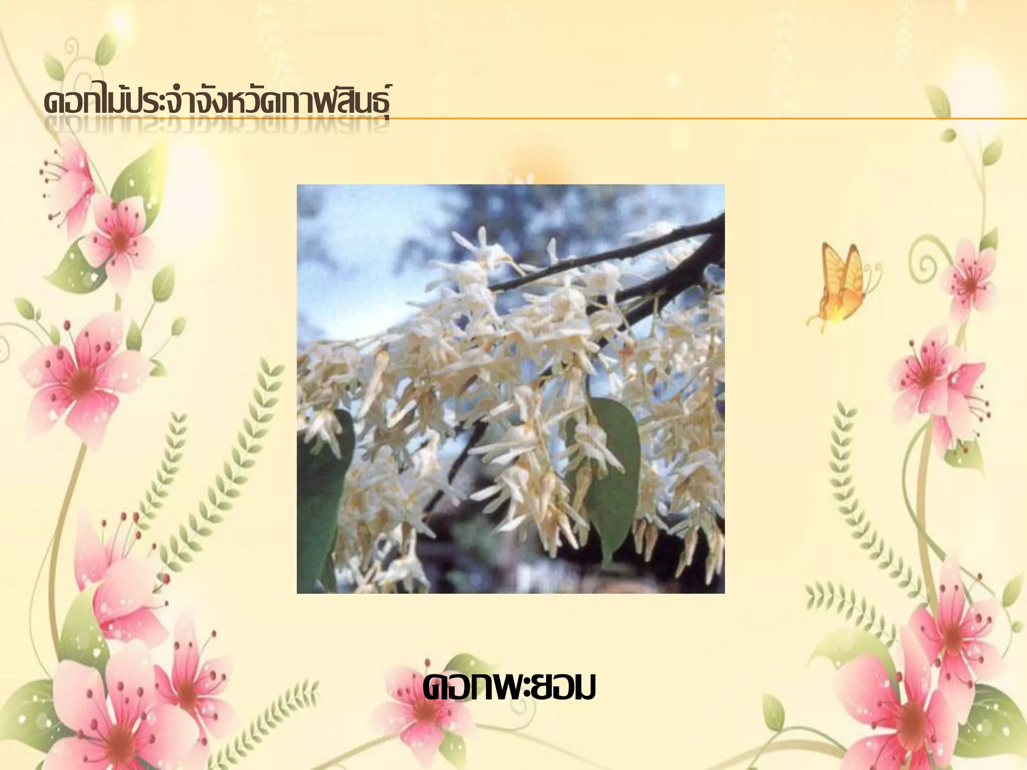 ดอกไม้ประจาจังหวัดกาฬสินธุ์

ดอกพะยอม

 