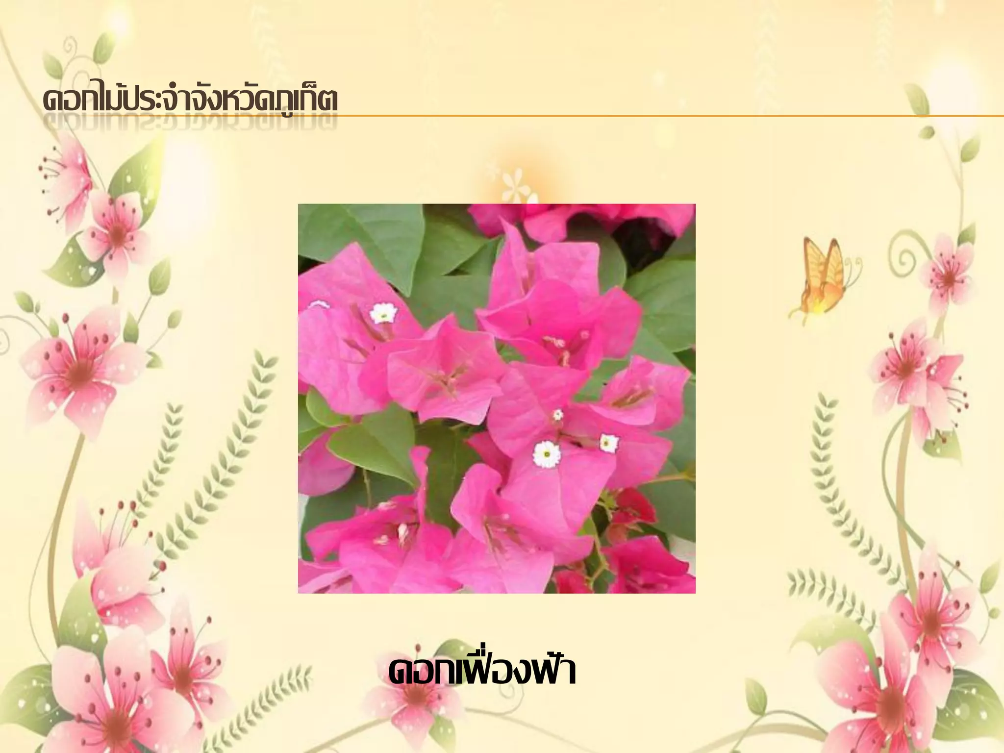 ดอกไม้ประจาจังหวัดภูเก็ต

ดอกเฟื่องฟ้า

 