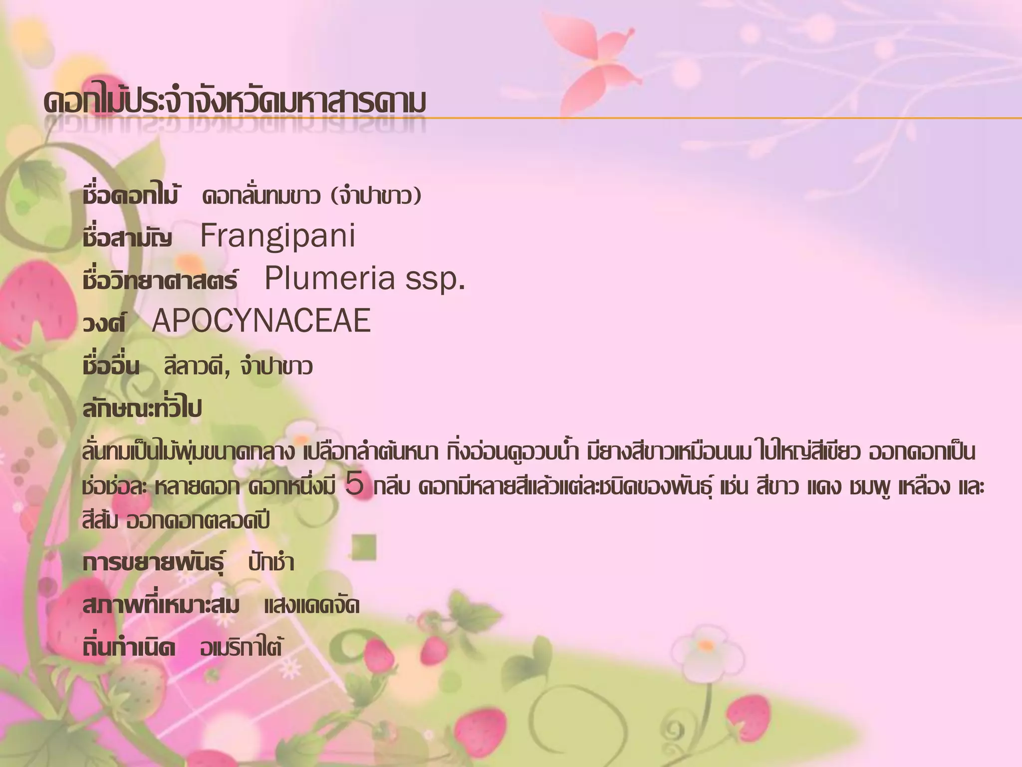 ดอกไม้ประจาจังหวัดมหาสารคาม
ชื่อดอกไม้ ดอกลั่นทมขาว (จาปาขาว)
ชื่อสามัญ Frangipani
ชื่อวิทยาศาสตร์ Plumeria ssp.
วงศ์ APOCYNACEAE
ชื่ออื่น ลีลาวดี, จาปาขาว
ลักษณะทั่วไป
ลั่นทมเป็นไม้พุ่มขนาดกลาง เปลือกลาต้นหนา กิ่งอ่อนดูอวบน้า มียางสีขาวเหมือนนม ใบใหญ่สีเขียว ออกดอกเป็น
ช่อช่อละ หลายดอก ดอกหนึ่งมี 5 กลีบ ดอกมีหลายสีแล้วแต่ละชนิดของพันธุ์ เช่น สีขาว แดง ชมพู เหลือง และ
สีส้ม ออกดอกตลอดปี
การขยายพันธุ์ ปักชา
สภาพที่เหมาะสม แสงแดดจัด
ถิ่นกาเนิด อเมริกาใต้

 