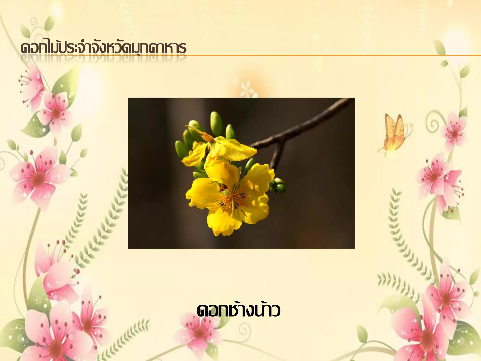 ดอกไม้ประจาจังหวัดมุกดาหาร

ดอกช้างน้าว

 