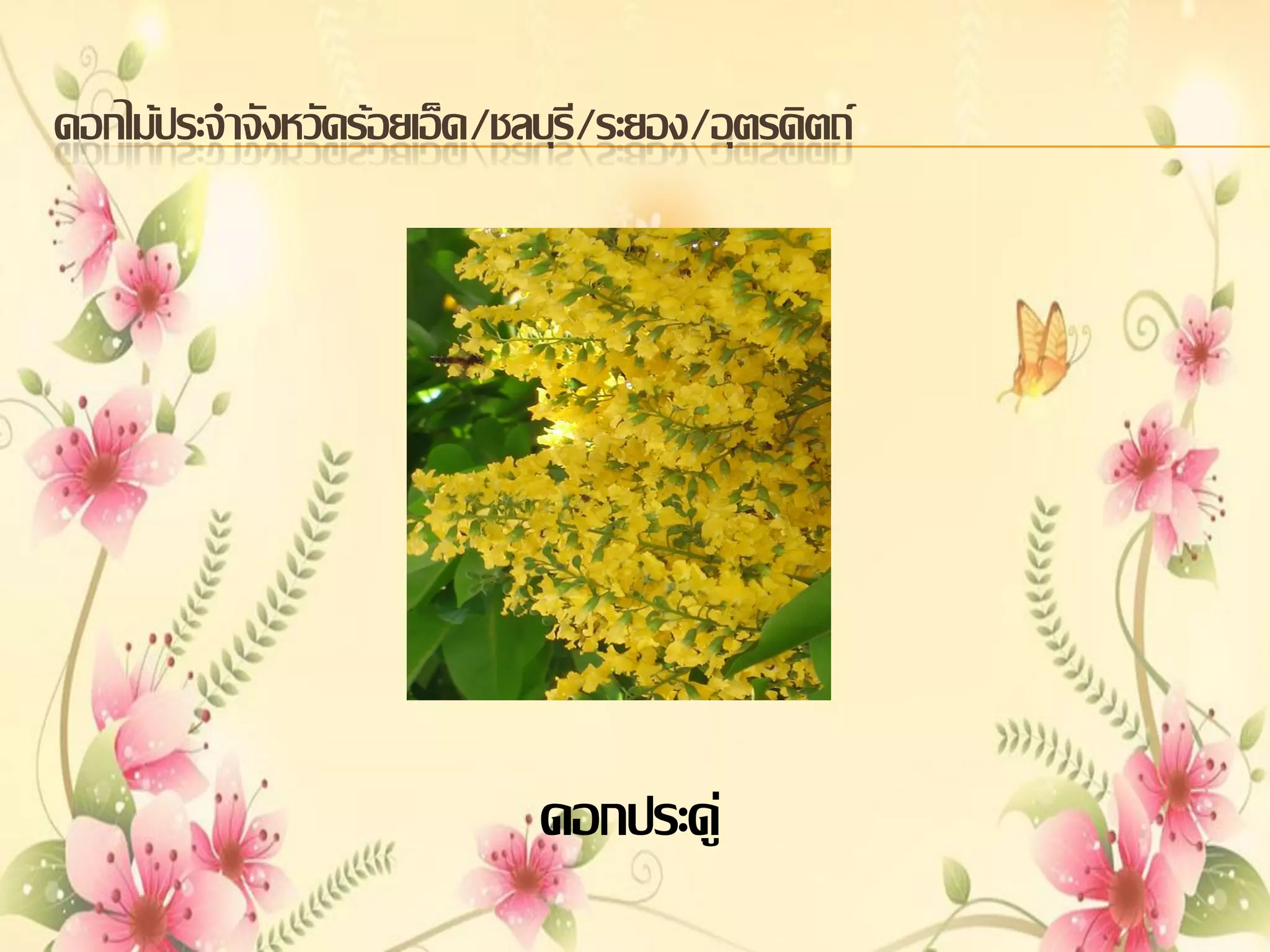 ดอกไม้ประจาจังหวัดร้อยเอ็ด/ชลบุร/ระยอง/อุตรดิตถ์
ี

ดอกประดู่

 