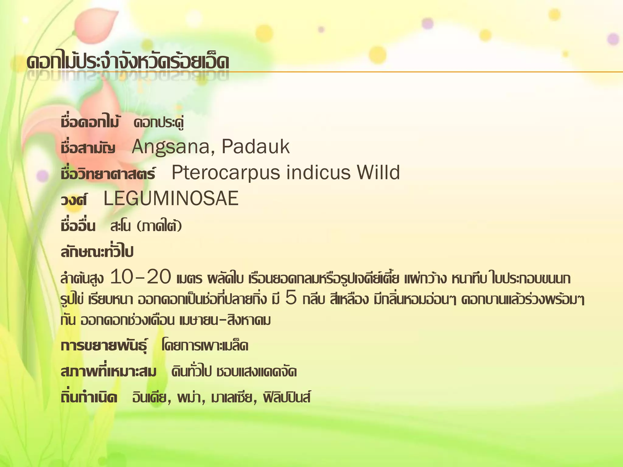 ดอกไม้ประจาจังหวัดร้อยเอ็ด
ชื่อดอกไม้ ดอกประดู่
ชื่อสามัญ Angsana, Padauk
ชื่อวิทยาศาสตร์ Pterocarpus indicus Willd
วงศ์ LEGUMINOSAE
ชื่ออื่น สะโน (ภาคใต้)
ลักษณะทั่วไป
ลาต้นสูง 10–20 เมตร ผลัดใบ เรือนยอดกลมหรือรูปเจดีย์เตี้ย แผ่กว้าง หนาทึบ ใบประกอบขนนก
รูปไข่ เรียบหนา ออกดอกเป็นช่อที่ปลายกิ่ง มี 5 กลีบ สีเหลือง มีกลิ่นหอมอ่อนๆ ดอกบานแล้วร่วงพร้อมๆ
กัน ออกดอกช่วงเดือน เมษายน-สิงหาคม
การขยายพันธุ์ โดยการเพาะเมล็ด
สภาพที่เหมาะสม ดินทั่วไป ชอบแสงแดดจัด
ถิ่นกาเนิด อินเดีย, พม่า, มาเลเซีย, ฟิลิปปินส์

 