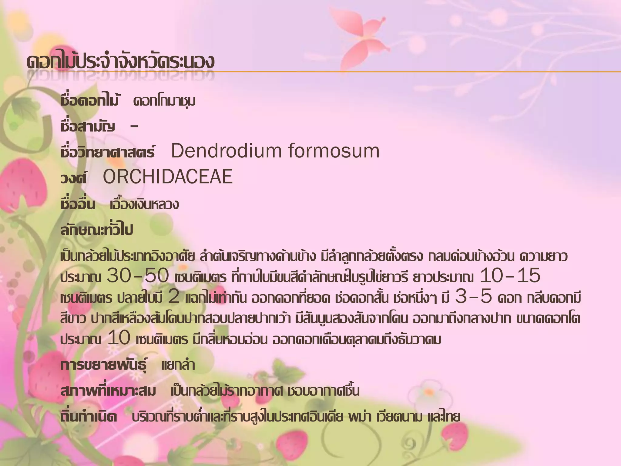 ดอกไม้ประจาจังหวัดระนอง
ชื่อดอกไม้ ดอกโกมาชุม
ชื่อสามัญ ชื่อวิทยาศาสตร์ Dendrodium formosum
วงศ์ ORCHIDACEAE
ชื่ออื่น เอื้องเงินหลวง
ลักษณะทั่วไป
เป็นกล้วยไม้ประเภทอิงอาศัย ลาต้นเจริญทางด้านข้าง มีลาลูกกล้วยตั้งตรง กลมค่อนข้างอ้วน ความยาว
ประมาณ 30–50 เซนติเมตร ที่กาบใบมีขนสีดาลักษณะใบรูปไข่ยาวรี ยาวประมาณ 10–15
เซนติเมตร ปลายใบมี 2 แฉกไม่เท่ากัน ออกดอกที่ยอด ช่อดอกสั้น ช่อหนึ่งๆ มี 3–5 ดอก กลีบดอกมี
สีขาว ปากสีเหลืองส้มโคนปากสอบปลายปากเว้า มีสันนูนสองสันจากโคน ออกมาถึงกลางปาก ขนาดดอกโต
ประมาณ 10 เซนติเมตร มีกลิ่นหอมอ่อน ออกดอกเดือนตุลาคมถึงธันวาคม
การขยายพันธุ์ แยกลา
สภาพที่เหมาะสม เป็นกล้วยไม้รากอากาศ ชอบอากาศชื้น
ถิ่นกาเนิด บริเวณที่ราบต่าและที่ราบสูงในประเทศอินเดีย พม่า เวียตนาม และไทย

 