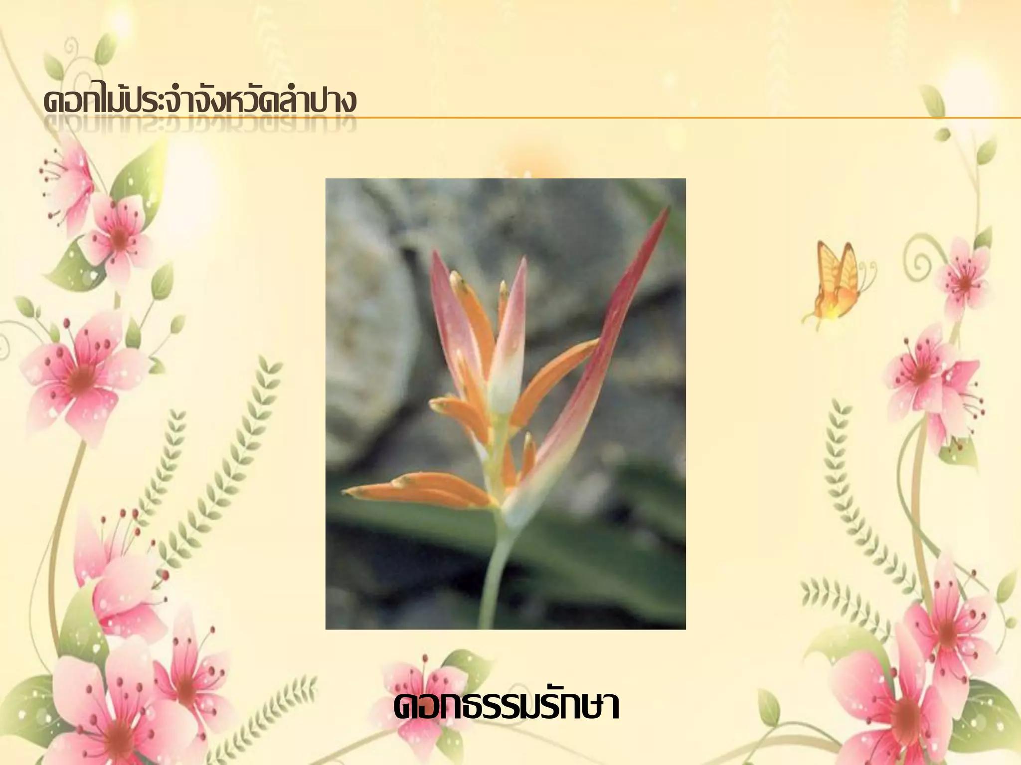 ดอกไม้ประจาจังหวัดลาปาง

ดอกธรรมรักษา

 