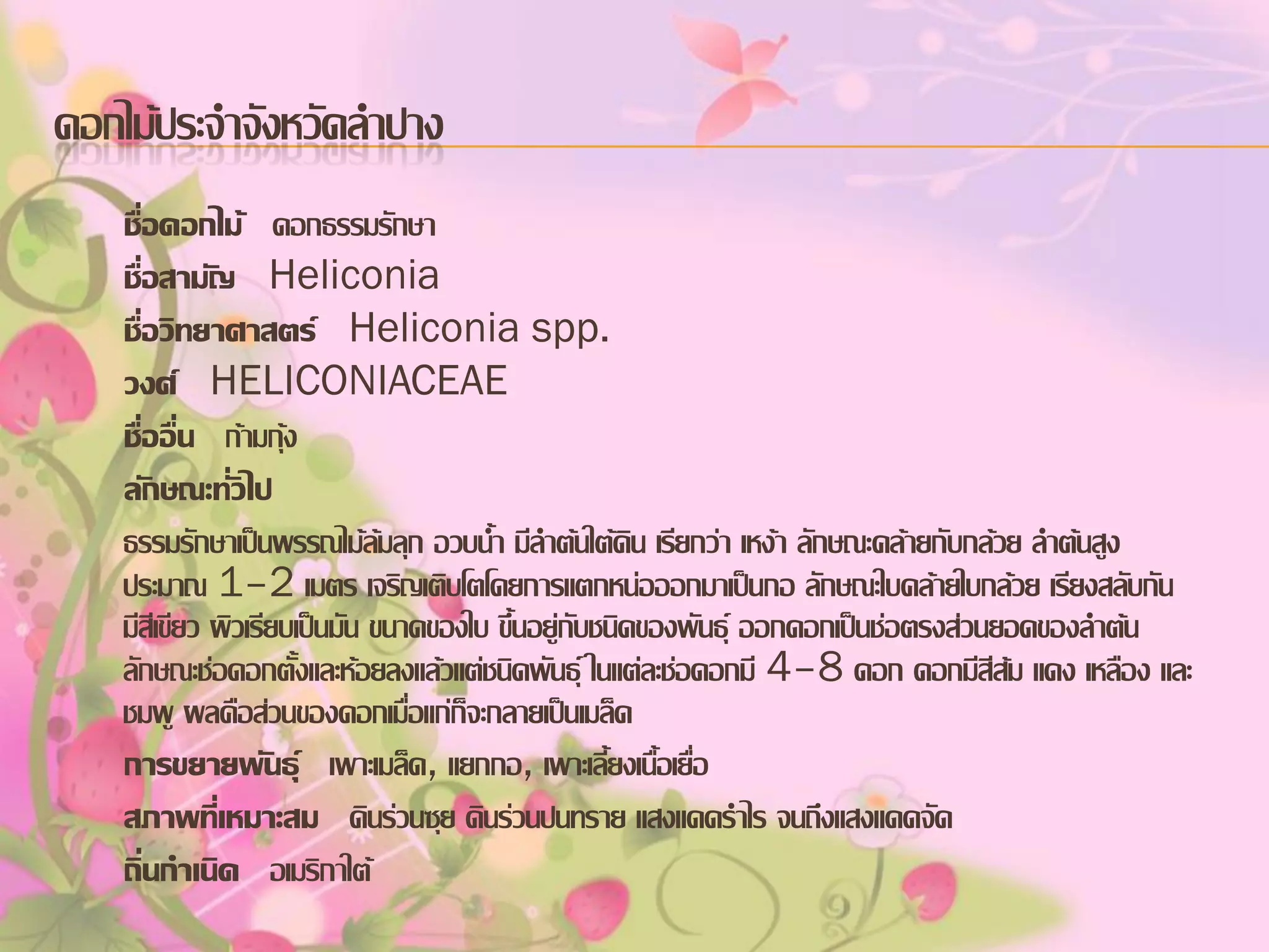 ดอกไม้ประจาจังหวัดลาปาง
ชื่อดอกไม้ ดอกธรรมรักษา
ชื่อสามัญ Heliconia
ชื่อวิทยาศาสตร์ Heliconia spp.
วงศ์ HELICONIACEAE
ชื่ออื่น ก้ามกุ้ง
ลักษณะทั่วไป
ธรรมรักษาเป็นพรรณไม้ล้มลุก อวบน้า มีลาต้นใต้ดิน เรียกว่า เหง้า ลักษณะคล้ายกับกล้วย ลาต้นสูง
ประมาณ 1–2 เมตร เจริญเติบโตโดยการแตกหน่อออกมาเป็นกอ ลักษณะใบคล้ายใบกล้วย เรียงสลับกัน
มีสีเขียว ผิวเรียบเป็นมัน ขนาดของใบ ขึ้นอยู่กับชนิดของพันธุ์ ออกดอกเป็นช่อตรงส่วนยอดของลาต้น
ลักษณะช่อดอกตั้งและห้อยลงแล้วแต่ชนิดพันธุ์ ในแต่ละช่อดอกมี 4–8 ดอก ดอกมีสีส้ม แดง เหลือง และ
ชมพู ผลคือส่วนของดอกเมื่อแก่ก็จะกลายเป็นเมล็ด
การขยายพันธุ์ เพาะเมล็ด, แยกกอ, เพาะเลี้ยงเนื้อเยื่อ
สภาพที่เหมาะสม ดินร่วนซุย ดินร่วนปนทราย แสงแดดราไร จนถึงแสงแดดจัด
ถิ่นกาเนิด อเมริกาใต้

 