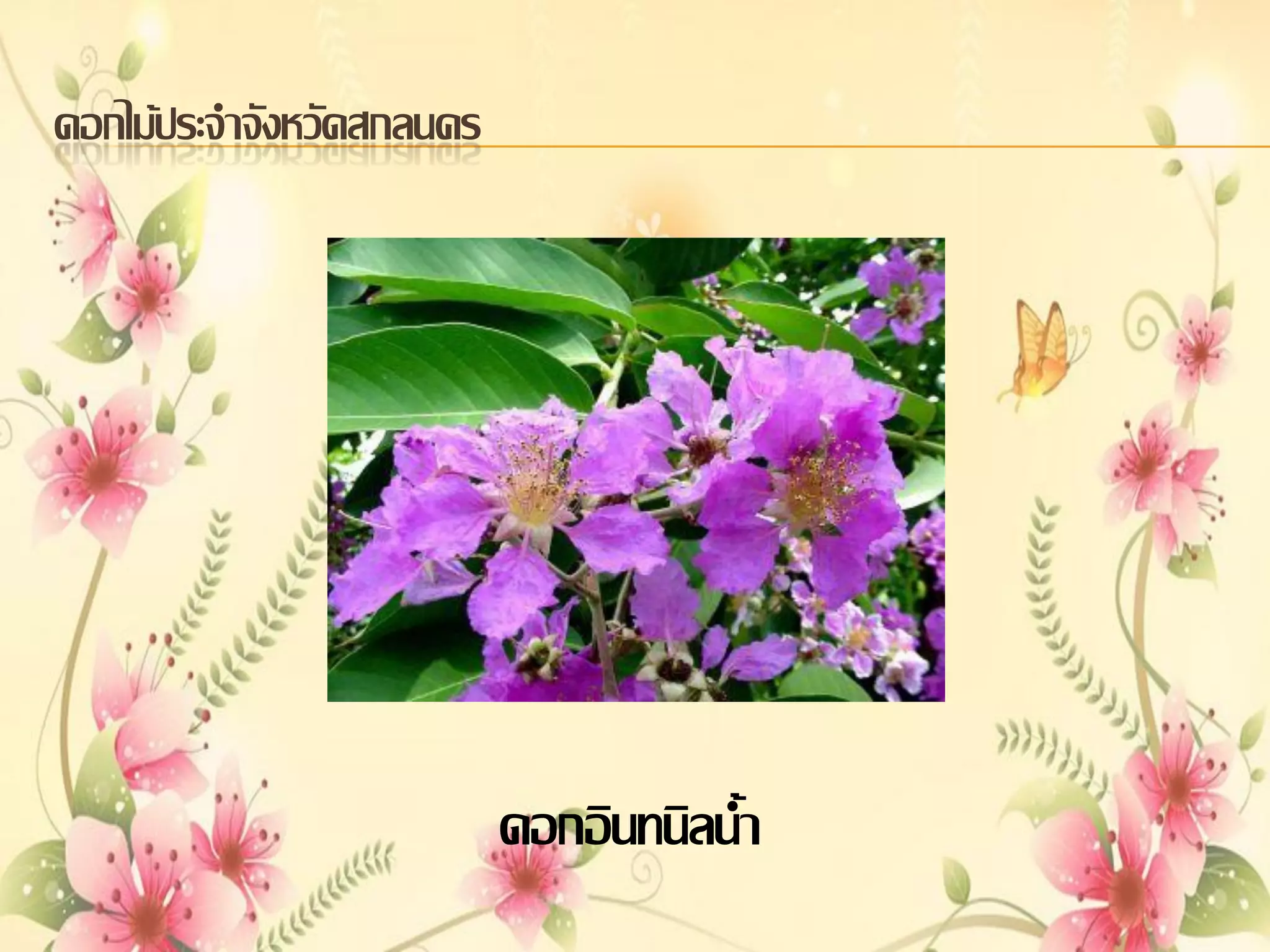 ดอกไม้ประจาจังหวัดสกลนคร

ดอกอินทนิลน้า

 