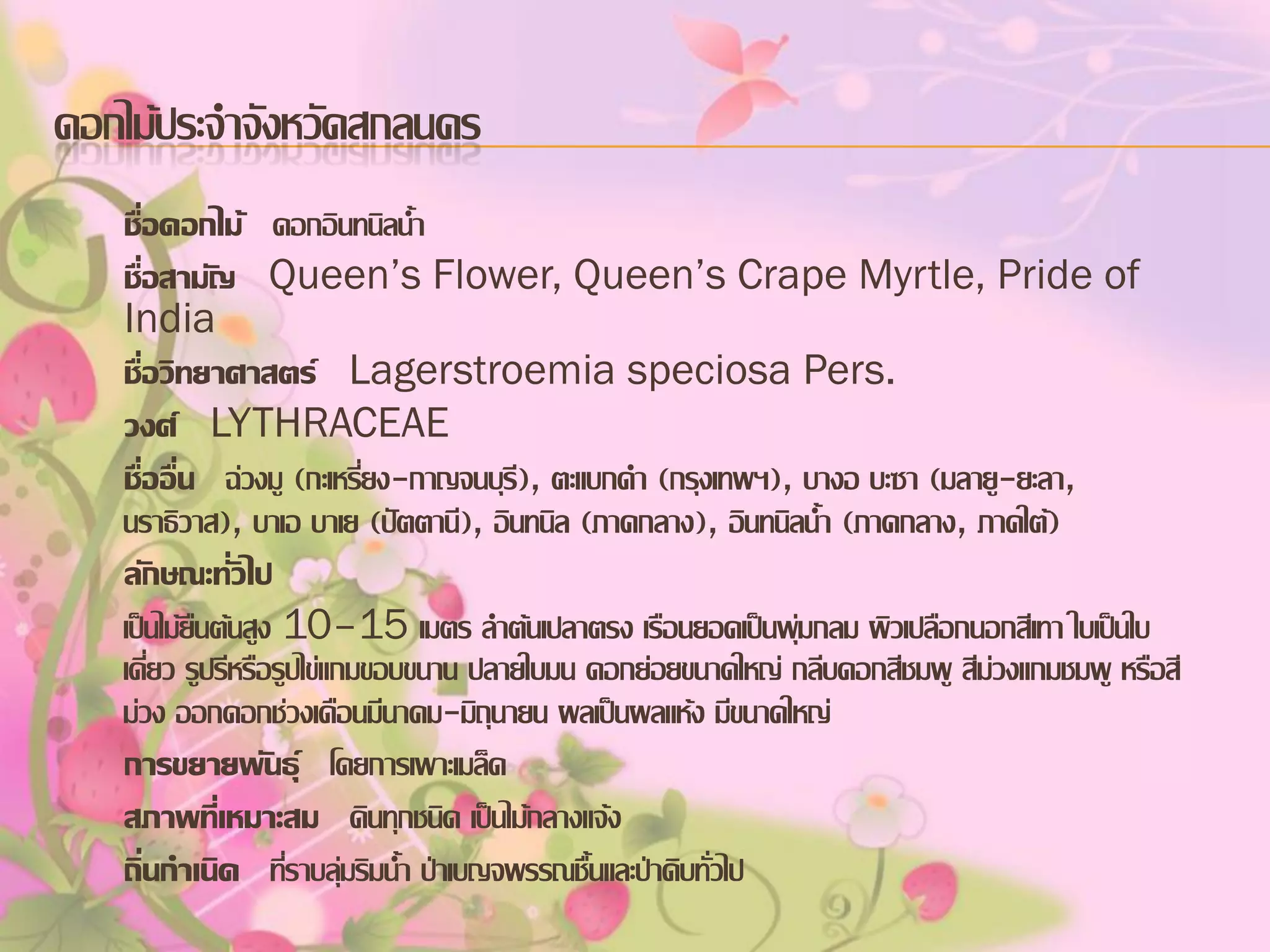 ดอกไม้ประจาจังหวัดสกลนคร
ชื่อดอกไม้ ดอกอินทนิลน้า
ชื่อสามัญ Queen’s Flower, Queen’s Crape Myrtle, Pride of
India
ชื่อวิทยาศาสตร์ Lagerstroemia speciosa Pers.
วงศ์ LYTHRACEAE
ชื่ออื่น ฉ่วงมู (กะเหรี่ยง-กาญจนบุรี), ตะแบกดา (กรุงเทพฯ), บางอ บะซา (มลายู-ยะลา,
นราธิวาส), บาเอ บาเย (ปัตตานี), อินทนิล (ภาคกลาง), อินทนิลน้า (ภาคกลาง, ภาคใต้)
ลักษณะทั่วไป
เป็นไม้ยืนต้นสูง 10–15 เมตร ลาต้นเปลาตรง เรือนยอดเป็นพุ่มกลม ผิวเปลือกนอกสีเทา ใบเป็นใบ
เดี่ยว รูปรีหรือรูปไข่แกมขอบขนาน ปลายใบมน ดอกย่อยขนาดใหญ่ กลีบดอกสีชมพู สีม่วงแกมชมพู หรือสี
ม่วง ออกดอกช่วงเดือนมีนาคม-มิถุนายน ผลเป็นผลแห้ง มีขนาดใหญ่
การขยายพันธุ์ โดยการเพาะเมล็ด
สภาพที่เหมาะสม ดินทุกชนิด เป็นไม้กลางแจ้ง
ถิ่นกาเนิด ที่ราบลุ่มริมน้า ป่าเบญจพรรณชื้นและป่าดิบทั่วไป

 