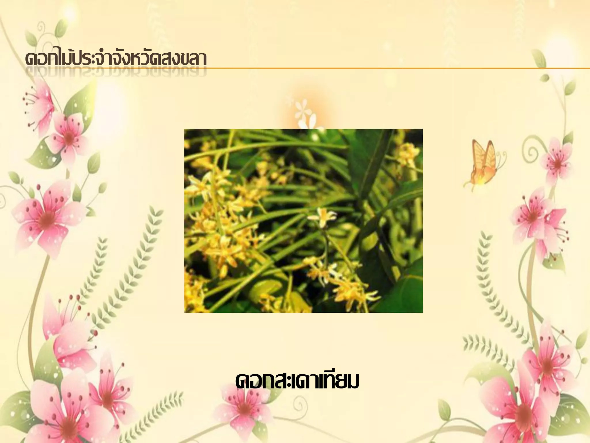 ดอกไม้ประจาจังหวัดสงขลา

ดอกสะเดาเทียม

 