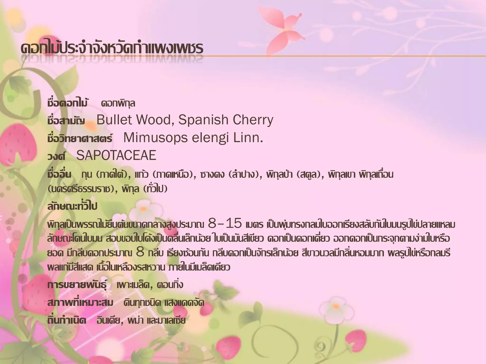 ดอกไม้ประจาจังหวัดกาแพงเพชร
ชื่อดอกไม้ ดอกพิกล
ุ
ชื่อสามัญ Bullet Wood, Spanish Cherry
ชื่อวิทยาศาสตร์ Mimusops elengi Linn.
วงศ์ SAPOTACEAE
ชื่ออื่น กุน (ภาคใต้), แก้ว (ภาคเหนือ), ซางดง (ลาปาง), พิกุลป่า (สตูล), พิกุลเขา พิกลเถื่อน
ุ
(นครศรีธรรมราช), พิกุล (ทั่วไป)
ลักษณะทั่วไป
พิกุลเป็นพรรณไม้ยืนต้นขนาดกลางสูงประมาณ 8–15 เมตร เป็นพุ่มทรงกลมใบออกเรียงสลับกันใบมนรูปไข่ปลายแหลม
ลักษณะโคนใบมน สอบขอบใบโค้งเป็นคลื่นเล็กน้อย ใบเป็นมันสีเขียว ดอกเป็นดอกเดี่ยว ออกดอกเป็นกระจุกตามง่ามใบหรือ
ยอด มีกลีบดอกประมาณ 8 กลีบ เรียงซ้อนกัน กลีบดอกเป็นจักรเล็กน้อย สีขาวนวลมีกลิ่นหอมมาก ผลรูปไข่หรือกลมรี
ผลแก่มีสีแสด เนื้อในเหลืองรสหวาน ภายในมีเมล็ดเดียว
การขยายพันธุ์ เพาะเมล็ด, ตอนกิ่ง
สภาพที่เหมาะสม ดินทุกชนิด แสงแดดจัด
ถิ่นกาเนิด อินเดีย, พม่า และมาเลเซีย

 