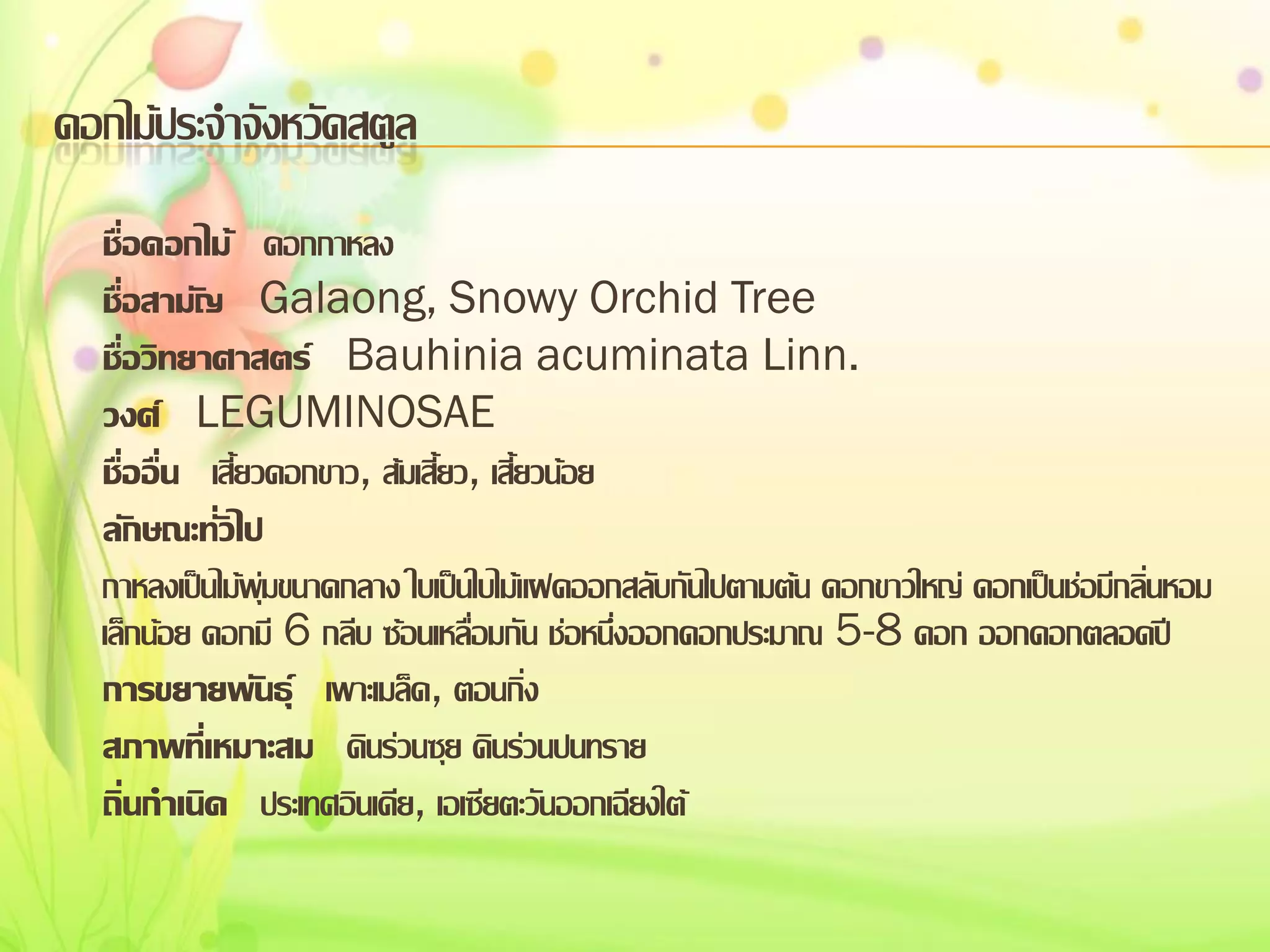 ดอกไม้ประจาจังหวัดสตูล
ชื่อดอกไม้ ดอกกาหลง
ชื่อสามัญ Galaong, Snowy Orchid Tree
ชื่อวิทยาศาสตร์ Bauhinia acuminata Linn.
วงศ์ LEGUMINOSAE
ชื่ออื่น เสี้ยวดอกขาว, ส้มเสี้ยว, เสี้ยวน้อย
ลักษณะทั่วไป
กาหลงเป็นไม้พุ่มขนาดกลาง ใบเป็นใบไม้แฝดออกสลับกันไปตามต้น ดอกขาวใหญ่ ดอกเป็นช่อมีกลิ่นหอม
เล็กน้อย ดอกมี 6 กลีบ ซ้อนเหลื่อมกัน ช่อหนึ่งออกดอกประมาณ 5-8 ดอก ออกดอกตลอดปี
การขยายพันธุ์ เพาะเมล็ด, ตอนกิ่ง
สภาพที่เหมาะสม ดินร่วนซุย ดินร่วนปนทราย
ถิ่นกาเนิด ประเทศอินเดีย, เอเซียตะวันออกเฉียงใต้

 