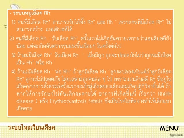 โครงงานคอมพิวเตอร์