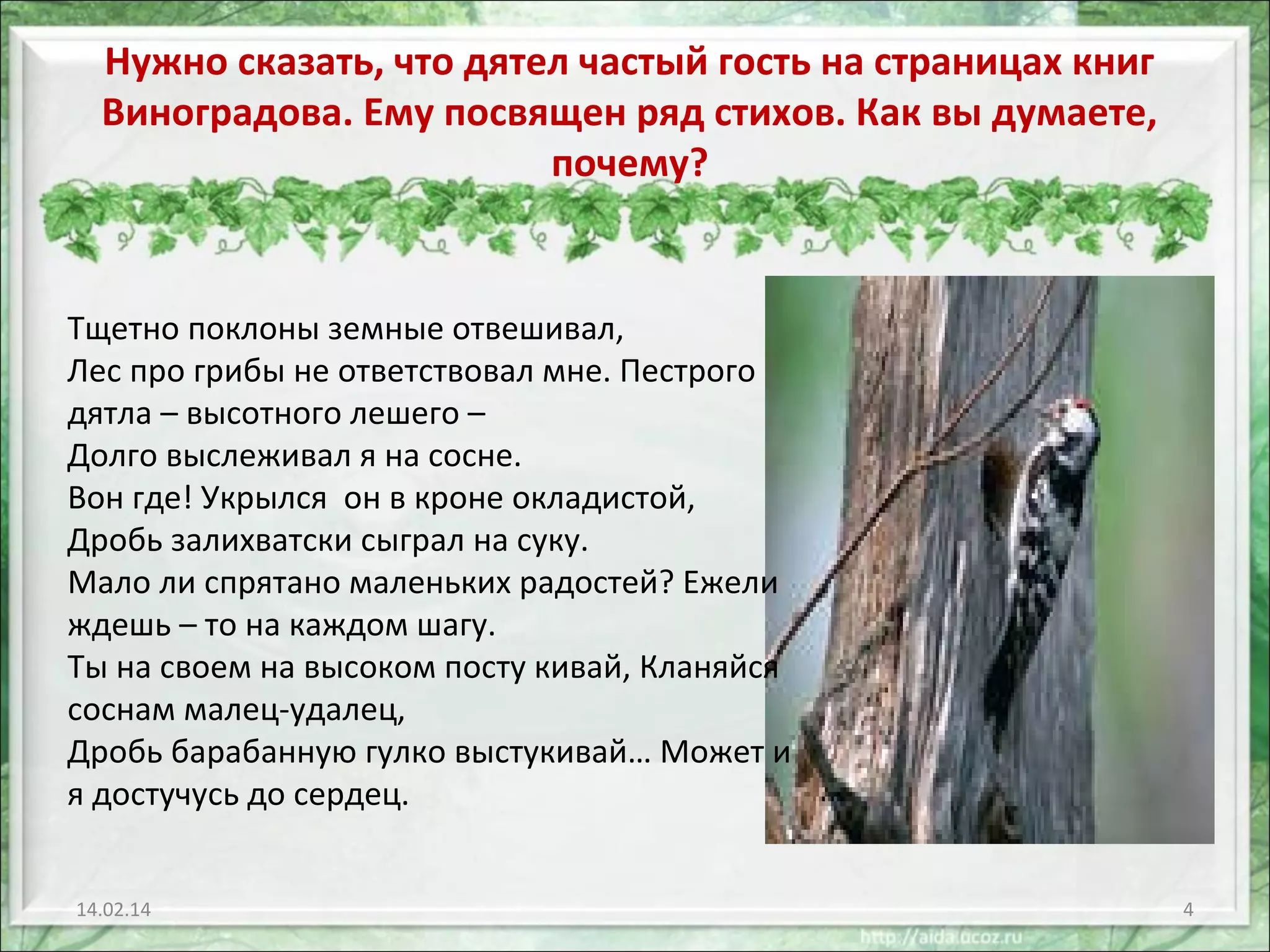 Нужно сказать, что дятел частый гость на страницах книг
Виноградова. Ему посвящен ряд стихов. Как вы думаете,
почему?

Тщетно поклоны земные отвешивал,
Лес про грибы не ответствовал мне. Пестрого
дятла – высотного лешего –
Долго выслеживал я на сосне.
Вон где! Укрылся он в кроне окладистой,
Дробь залихватски сыграл на суку.
Мало ли спрятано маленьких радостей? Ежели
ждешь – то на каждом шагу.
Ты на своем на высоком посту кивай, Кланяйся
соснам малец-удалец,
Дробь барабанную гулко выстукивай… Может и
я достучусь до сердец.
14.02.14

4

 