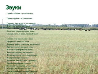 Звуки
Трону клавиши – мало складу,
Трону струны – остынет пыл.
Говорят, мне медведь косолапый
В детстве на ухо наступил.
Отчего же сквозь толстые рамы
Слышу листьев неслыханный звон?
Словно стог воробьиного гама
Поднимает на вилах клён.
Выйду в поле – там колос дремотный
Прячет дудочку в рыжих усах,
И поют по-скворчиному ноты,
Чуть покачиваясь на проводах.
По ночам, когда спать невозможно
И закрыта заря на засов,
Лес стоит, как большая гармошка,
Полный шорохов и голосов.
По лугам, где оркестры неистовы,
Я спешу, откликаясь на зов,
Трогать звонкие клавиши листьев,

 