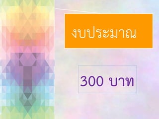 งบประมาณ
300 บาท

 