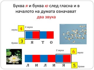 Буква я и буква ю след гласна и в
началото на думата означават
два звука
звука

букви

4
?

2 звука

3
?

я

т

о
2 звука

л

и

л

и

я

6
?
5
?

звука

букви

 