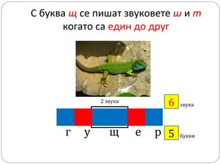 С буква щ се пишат звуковете ш и т
когато са един до друг

6
?

2 звука

г

у

щ

е

звука

р 5
?

букви

 
