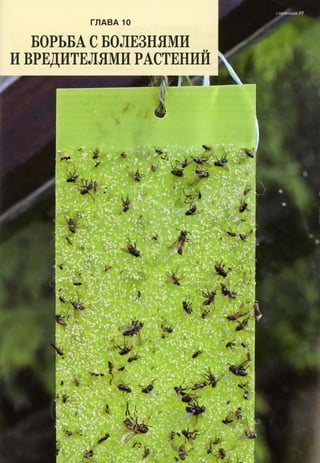 хессайон д.г.   все о болезнях и вредителях растений - 2007