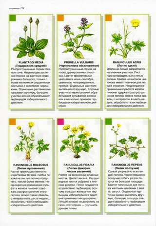 хессайон д.г.   все о болезнях и вредителях растений - 2007