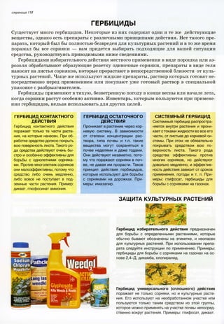 хессайон д.г.   все о болезнях и вредителях растений - 2007