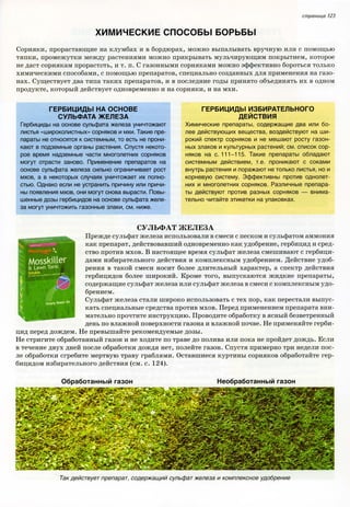 хессайон д.г.   все о болезнях и вредителях растений - 2007