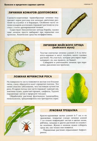 хессайон д.г.   все о болезнях и вредителях растений - 2007