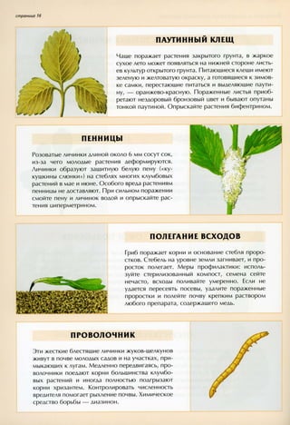 хессайон д.г.   все о болезнях и вредителях растений - 2007