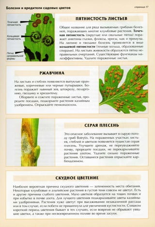 хессайон д.г.   все о болезнях и вредителях растений - 2007