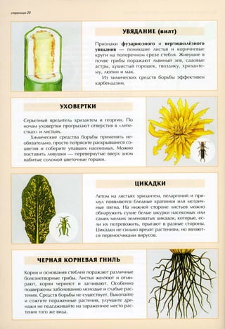 хессайон д.г.   все о болезнях и вредителях растений - 2007