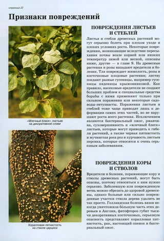 хессайон д.г.   все о болезнях и вредителях растений - 2007