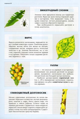 хессайон д.г.   все о болезнях и вредителях растений - 2007