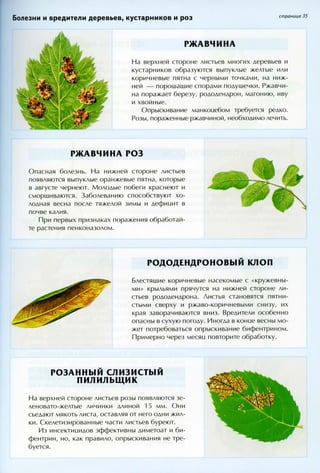 хессайон д.г.   все о болезнях и вредителях растений - 2007