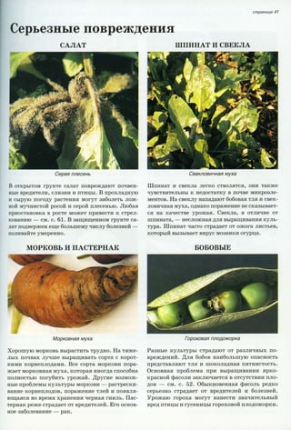 хессайон д.г.   все о болезнях и вредителях растений - 2007