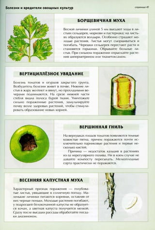 хессайон д.г.   все о болезнях и вредителях растений - 2007