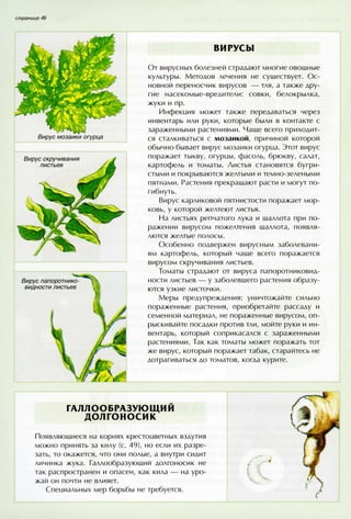 хессайон д.г.   все о болезнях и вредителях растений - 2007