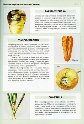 хессайон д.г.   все о болезнях и вредителях растений - 2007